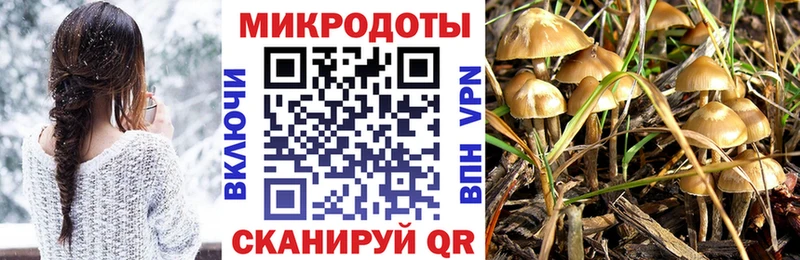 Купить закладки  Шагонар  Галлюциногенные грибы мухоморы 