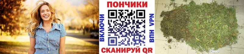 Бошки Шишки сатива  Купить  Шагонар